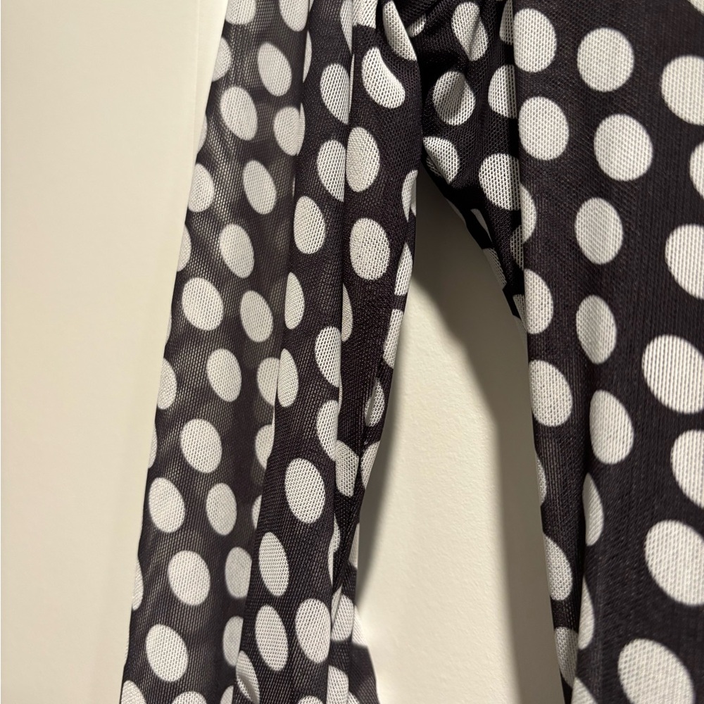 Zara Black and White Polka Dot Long Sleeve Mesh Dress - Picture 2 of 3